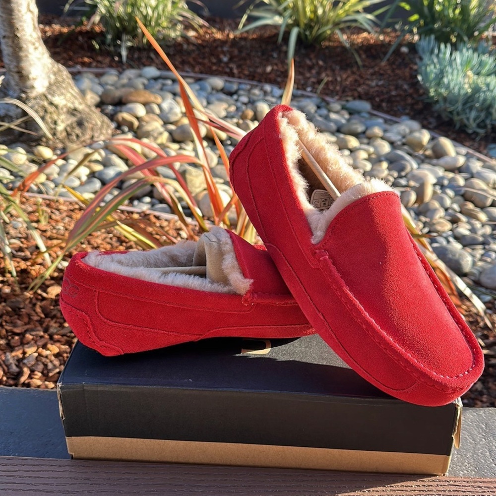 Mens Red Uggs